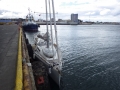 CLAU2237