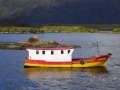CLAU2462