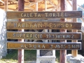 CLAU2506