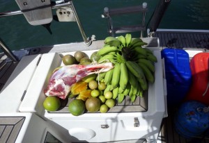 FruitsKE2