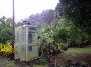 Hakaui1
