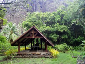 Hakaui2