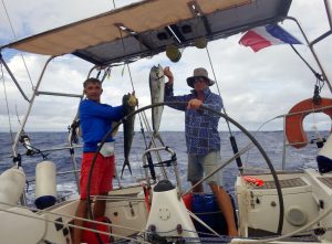 Mahi2