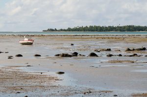 PlatierMareeBasse1