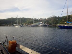 MarinaSavusavu1