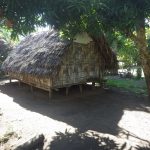 Village2