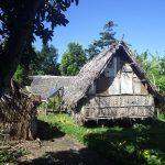 Village6