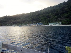 christmas-port
