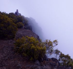 brouillard