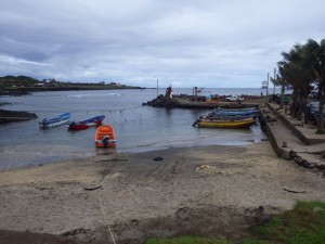 CLAU2901