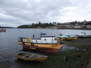 CLAU3157