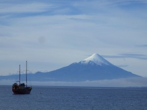 CLAU3166